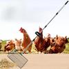 Chicken Poop Scooper Detachable Design, Portable, Sturdy Practical Manure Scoop Adjustable Handle