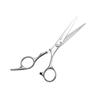 Professional Hair Cutting Scissors Stainless Steel Edge Hairdresser Shears for Stylish Haircut