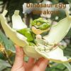 Deformed Design Transforming Dinosaur Movable Joints Tyrannosaurus Rex Model  Children Play