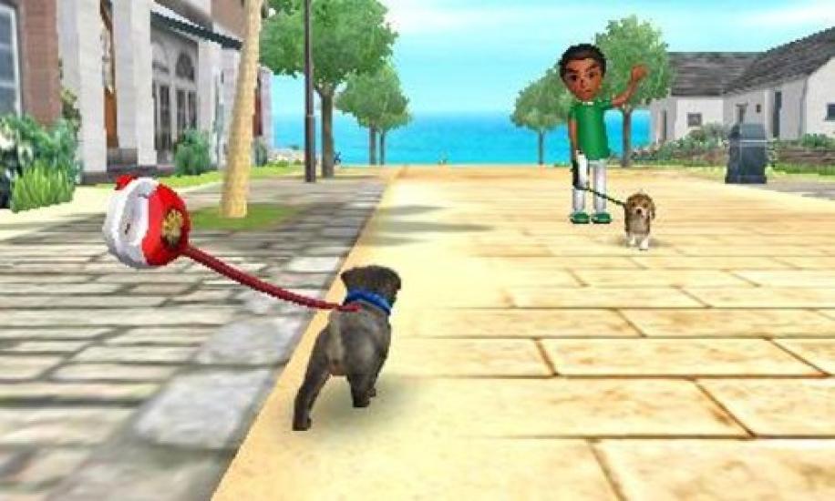 Nintendo Gs кошки Той-пудель Новые друзья 3DS + & -