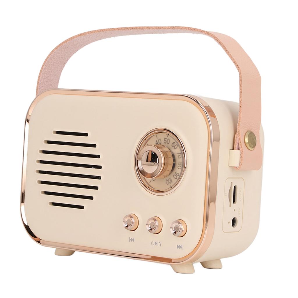 Динамик Караоке Комплект Портативный Многофункциональный Высокоемкостный Аккумулятор Маленький Беспроводной Караоке Комплект для