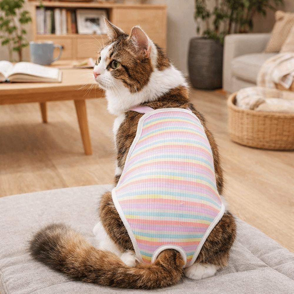 Breathable Female Dog Underwear Adjustable Straps Pet Safety Trousers  Outdoor Walk