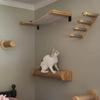 1 шт. Деревянная кошачья игровая башня Настенная кошачья мебель Кошачья платформа для прыжков Кошачья лестница для лазания Гамак Конструкция для лазания