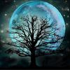 5D Diamond Painting Moon Tree Rhinestone Kit Full Diamond Embroidery Sale Landscape Mosaic Wall Art 40x40cm/16x16inch