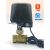 Tuya Zigbee Умный Водяной Клапан WIFI Садовый Таймер Отключения Воды Контроллер Полива с Alexa Google Assistant SmartLife