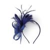 Formal Dress Feathers Mesh Headband Retro Fascinator Headdress  Masquerade Party