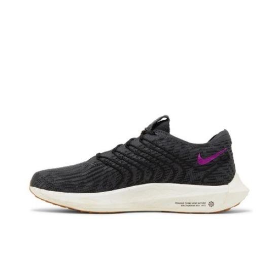Nike Pegasus Turbo Next Nature Black Vivid Purple DM3413-003