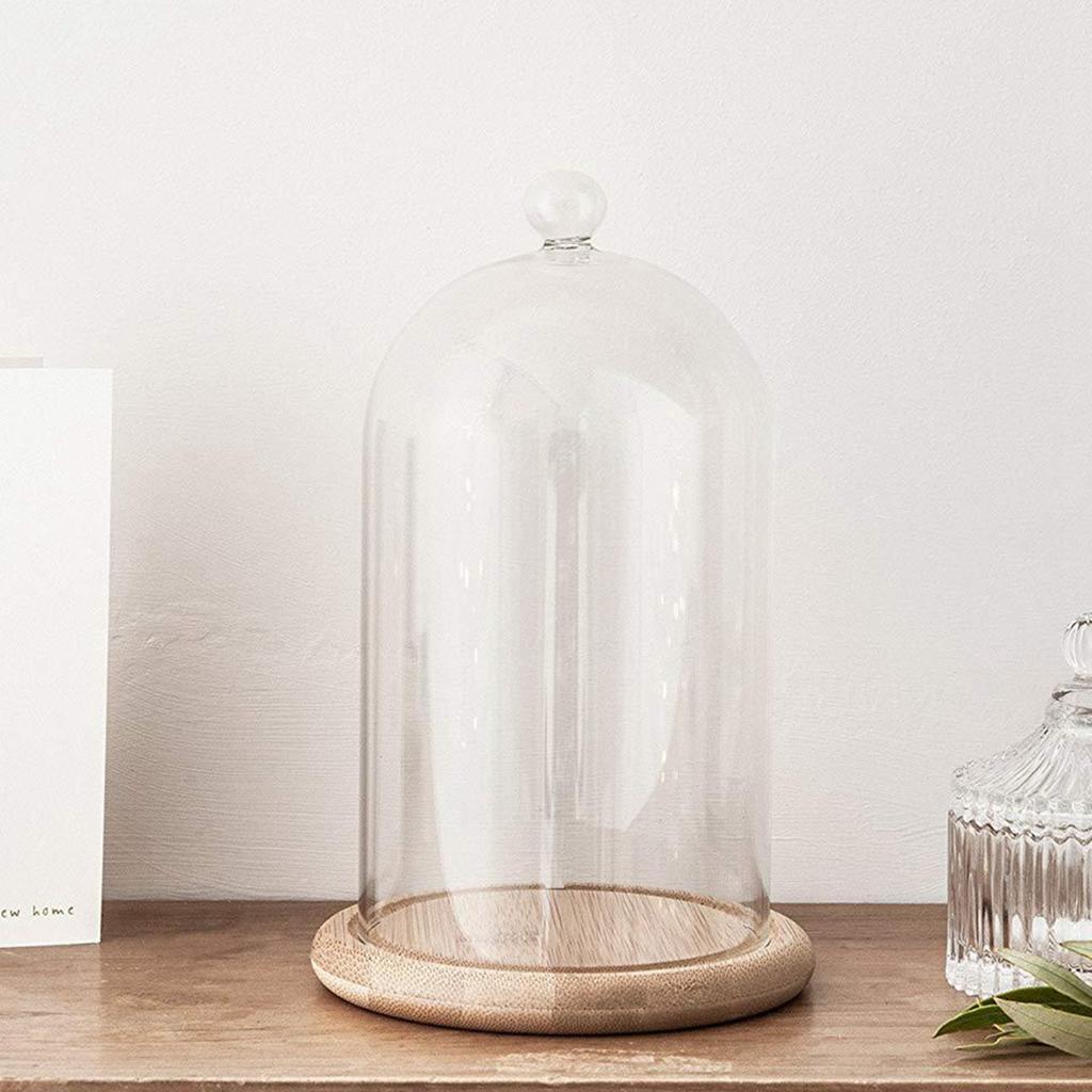 Clear Glass Jar Dome Cover Decorative Clear Glass Dome Cloche Bell Cover Fresh Flower Glass Cover