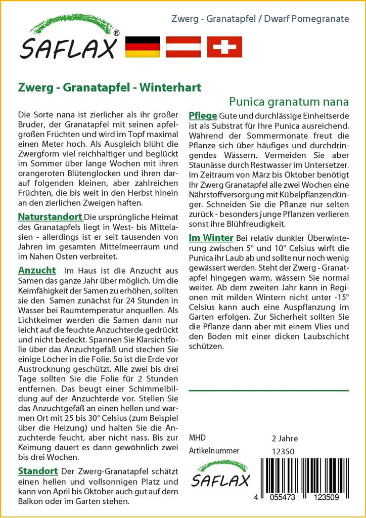 SAFLAX Карликовый гранат - 50 семян - С горшечным субстратом для лучшего выращивания - Punica granatum nana