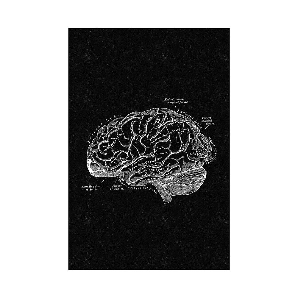 Печать на холсте, анатомия человека, настенный художественный постер, скелет, орган, мышечная система, винтажный домашний декор