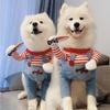 Funny Dog Horror Movie Clothes Sweatshirt Set Cosplay Chucky Pet Clothes Party Costume Comical Outfits Halloween Lovely Coats Pet Products Supplies