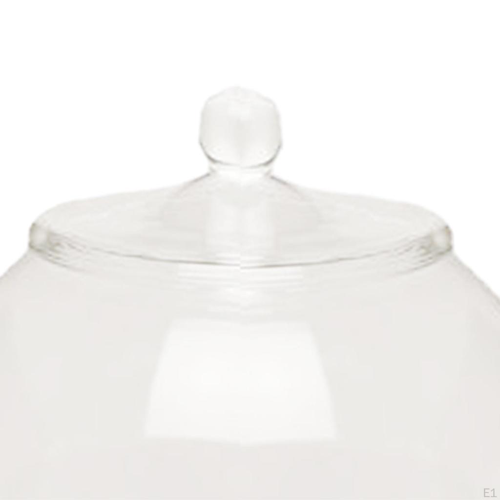 Planter Jar Glass Terrarium 7.87inch Micro Landscape Vase Bottle Plant Container for