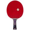 Шестизвездочная ракетка для настольного тенниса Double Fish