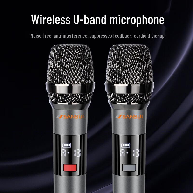 ShanShui Portable KTV Karaoke Speaker System