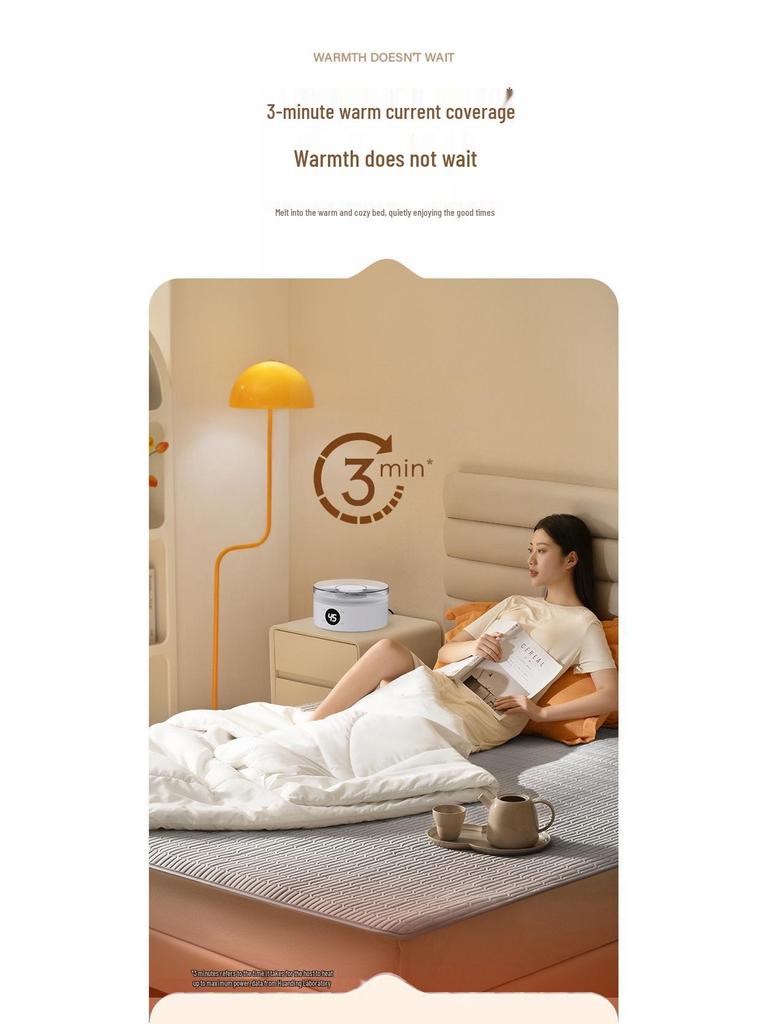 Hydronic Electric Blanket 2024: Heated, Dehumidifying, Mite-Removing, Washable for Single Beds