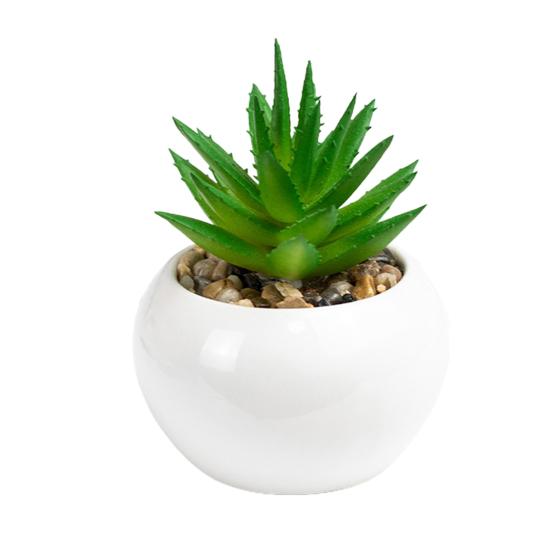 Поддельные растения, мини-реалистичные, широкое применение, высокое качество, натуральные яркие мульти-стильные искусственные суккуленты, бонсай для гостиной