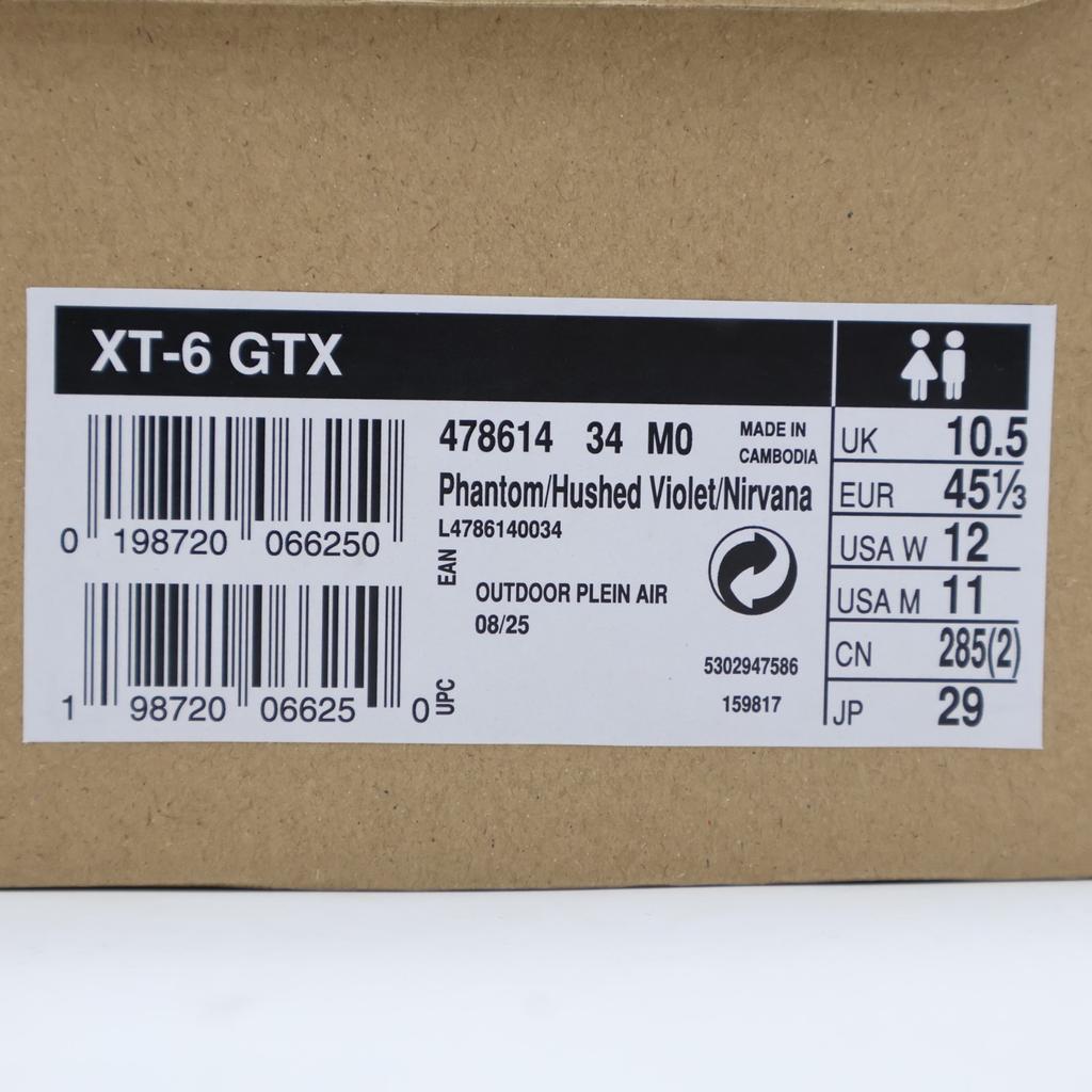 L47861400 Salomon XT-6 GORE-TEX Phantom Hushed Violet Nirvana (Мужской)