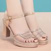 Mesh Comfortable Fashion Temperament Thick Heel One-word Buckle Rhinestone Sandals Women's High Heel Sandals
