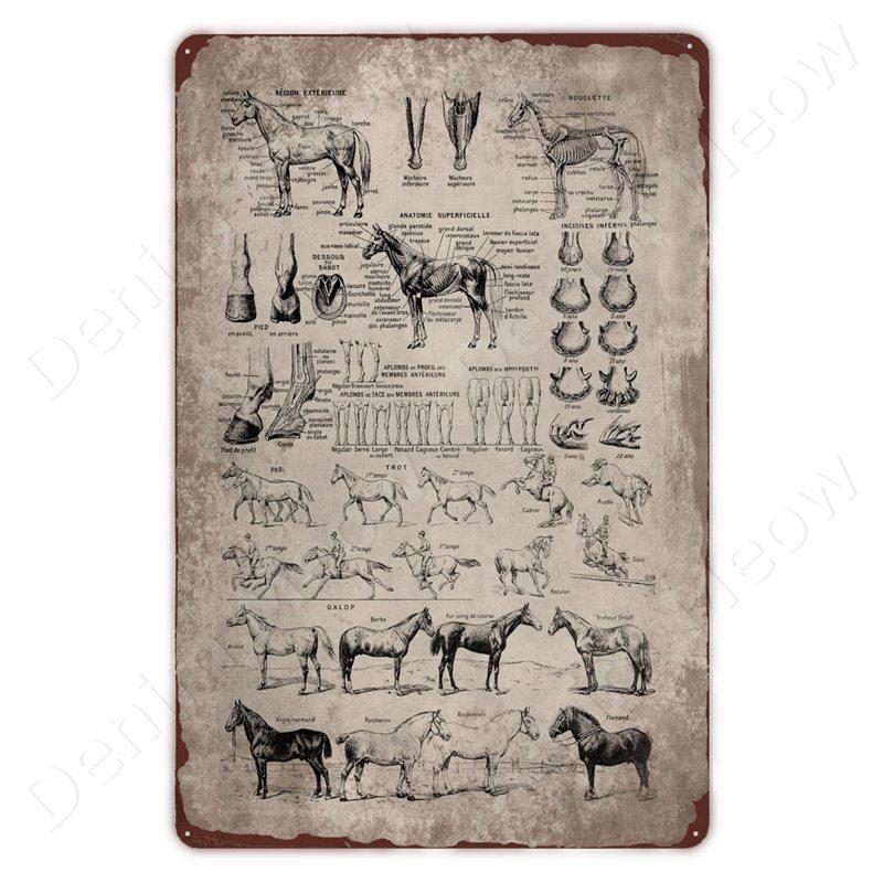 Dinosaur in the Bathroom Wall Art Print Fossil Vintage Metal Tin Sign Club Room Home Decor Animal Bones Poster Painting