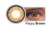 Celebration Color Yearly Coloured Contact Lenses 1 Pair (Peppy Brown,-3.50)