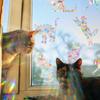 Sun Catcher DIY Window Stickers Rainbow Maker Cat Bird Moon Sun Art Decor for Kids Bedroom Living Room