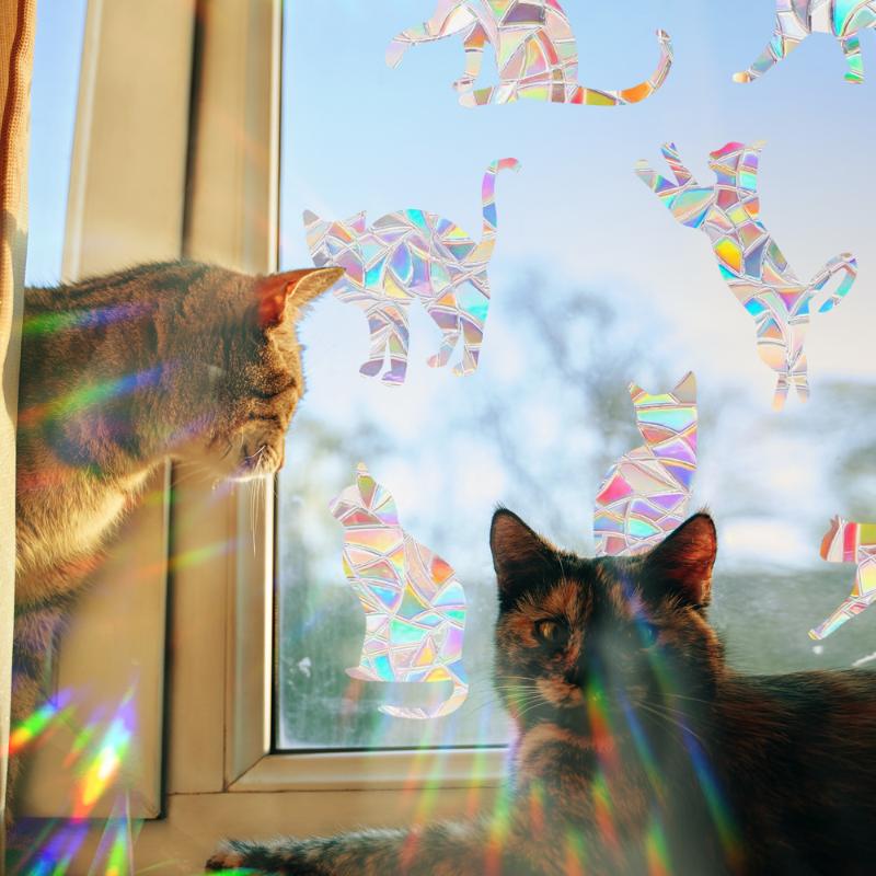 Sun Catcher DIY Window Stickers Rainbow Maker Cat Bird Moon Sun Art Decor for Kids Bedroom Living Room