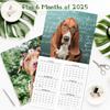 2026-2027 Calendar - 18-Month Wall Calendar 2026-2027 Funny Dog Calendars from Jan. 2026 - Jun. 2027, Calendar 2026 with Unruled Blocks, Holidays,