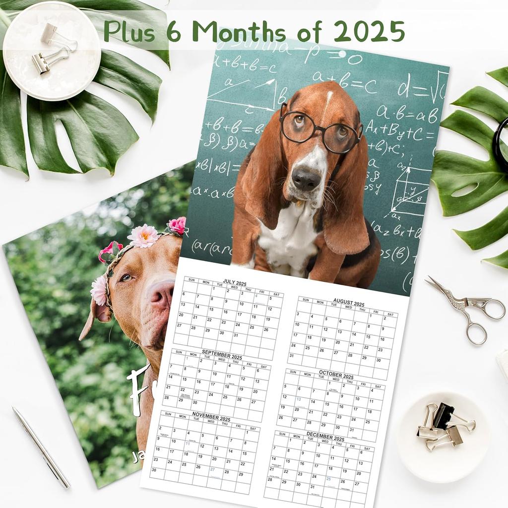 2026-2027 Calendar - 18-Month Wall Calendar 2026-2027 Funny Dog Calendars from Jan. 2026 - Jun. 2027, Calendar 2026 with Unruled Blocks, Holidays,