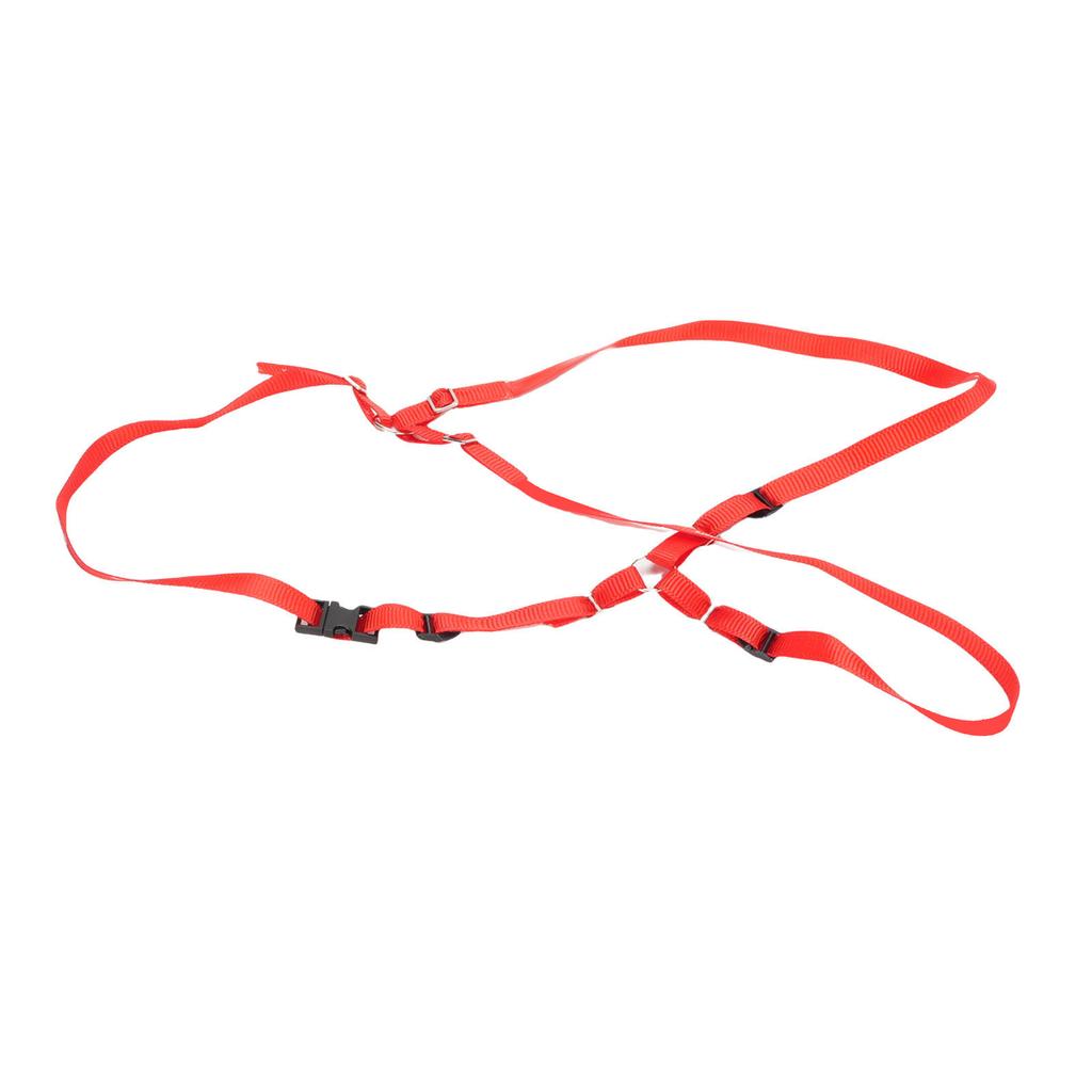 Spare Tire Strap Kit Fit for TRAXXAS UDR 1 10 RC Cars Nylon Spare Tire Fixed Y Strap with Hooks Red