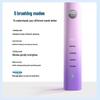 FLYCO FT7105 Sonic Electric Toothbrush for Adults