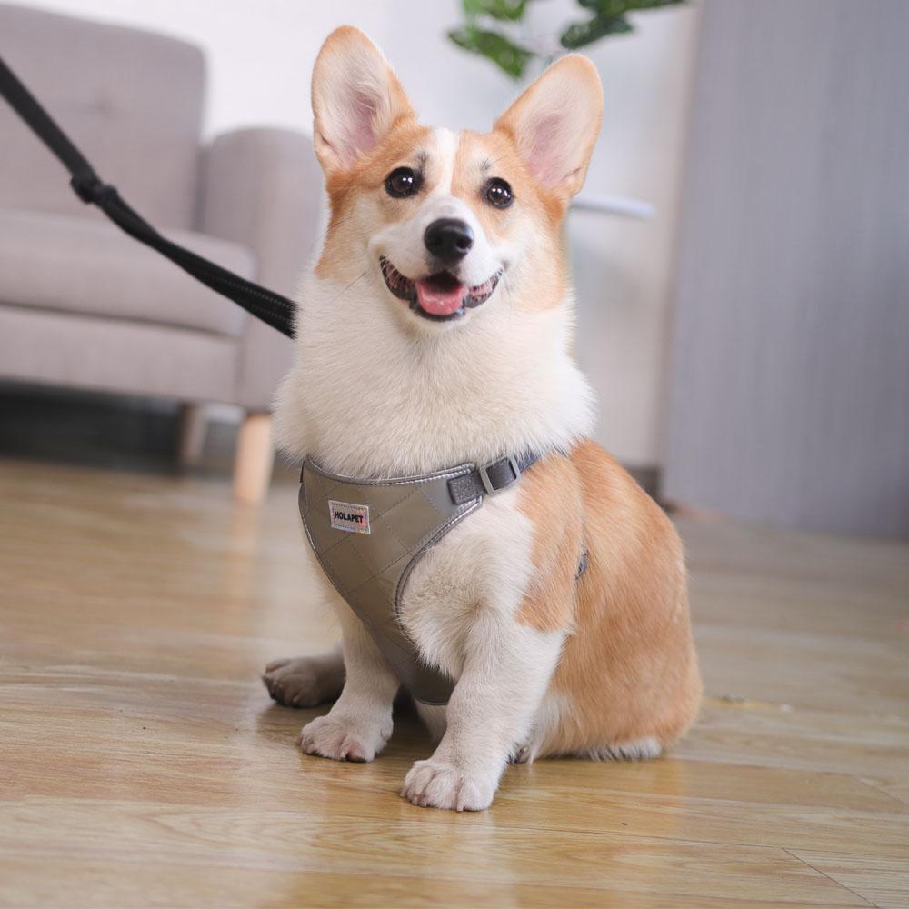 Dog Vest Harness With 1.4m Traction Rope Leash Set For Small Dogs Cat No Pull Outdoor Waterproof Puppy Yorkshire Pet Chest Strap Supplies