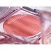 The Face Shop Румяна-хайлайтер Fmgt Veil Glow - 8 цветов