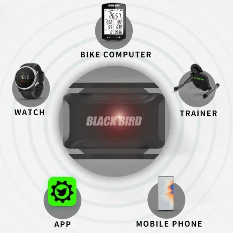 Black Bird Датчик частоты сердечных сокращений и каденса Скорость Спидометр ANT+ Bluetooth 5.0 Совместим с велокомпьютерами Garmin IGP Bryton