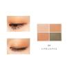 Natural Glass Color Eyes 04 Eyeshadow with Tip and Mirror (Cinnamon Spice)