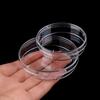 10Pcs/Set Polystyrene Sterile Petri Dishes Bacteria Culture Dish For Laboratory