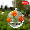 Hanging Transparent Ball Glass Flower Planter Vase Terrarium Landscape Container