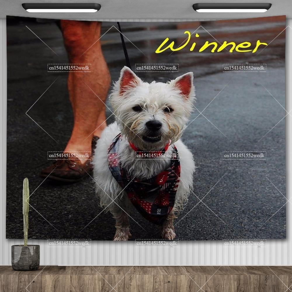 Alex G Trick Обложка альбома Гобелен Настенное искусство Плакаты Эстетическая спальня Декоративные печатные гобелены Макраме Фарбик Гобелен для комнаты