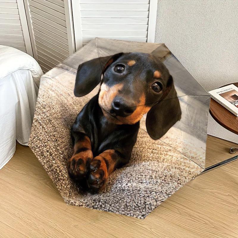 1pc Dachshund Paws Umbrella with Plastic Handle,Suitable for All Seasons Home Travel Outdoor UmbrellaDD1755
