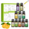 PHATOIL 10Pcs Aromatherapy Essential Oil 100% Natural Essential Oil Ideal for Diffusers Humidifiers Aromatherapy Massage Skin and Hair Care