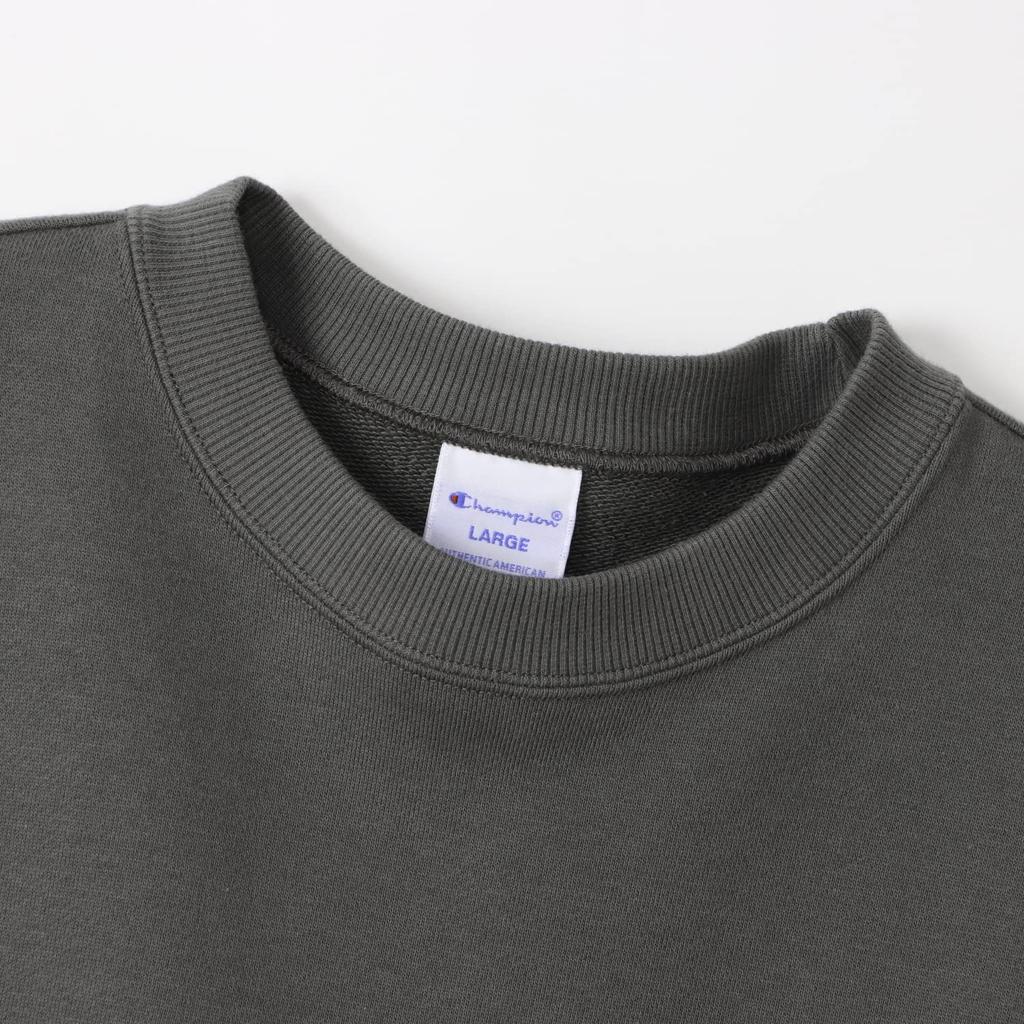 Champion Long Sleeve Crew Neck Sweatshirt with Script Logo, Basic, C8-W041Z -081-M