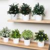 Fake Plant Potted Office Desk Accessorie Wedding Accessorie Artificial Flower Ornament Home Decor Room Desktop Decor