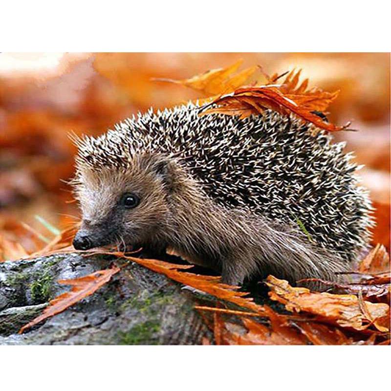 DIY 5D алмазная живопись «Ежик», полная круглая дрель, алмазная вышивка животных, наборы для вышивки крестом, настенный художественный подарок, домашний декор