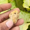 CERTIFIED Natural Uncut Opal Raw Rough 58.65 Ct Loose Gemstone For Collection