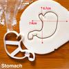 Human Organs Cookie Cutter Heart Brain Shape Fondant Icing Biscuit Mold Party Cake Decoating Baking Tools Kitchen Accessories