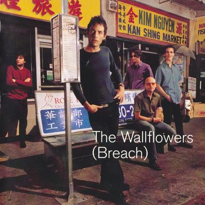 CD WALLFLOWERS - (Нарушение) 0694908092 Interscope Reco 2000 US Рок Б/у