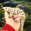 Аниме-статуэтка ежика, 3D-печать, градиентный цвет, прочный пластик, животное-декор для помещений/улицы, не требует электричества