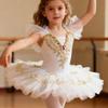 Puffy Kids Ballet Dress Modern Princess Dress Fashion Ballet Tutu  Kids Girls