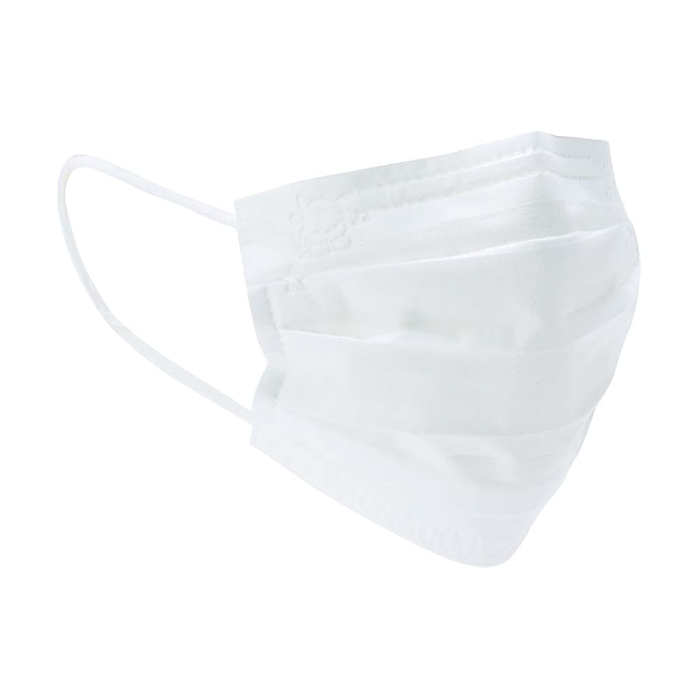 Ткань для масок для взрослых 30 штук в коробке Pochakko Pochakko плиссированный тип индивидуально упакованный персонаж 815225 [Sanrio] нетканый