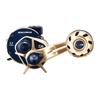 Daiwa 21 Салтига ИК 100