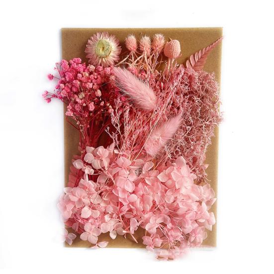 1 Bag Dried Flower Model Eye-catching Charming Smooth Surface Durable Fantastic Detailed Dried Flower Display for Kid